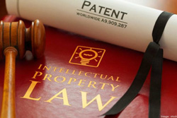 Legal Expertise in Intellectual Property: